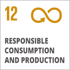 responsible consumption and production