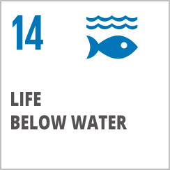 life below water