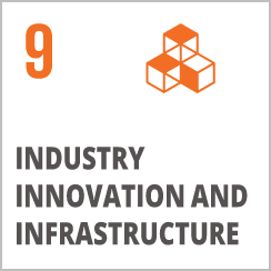 industry innovation and infrastructure