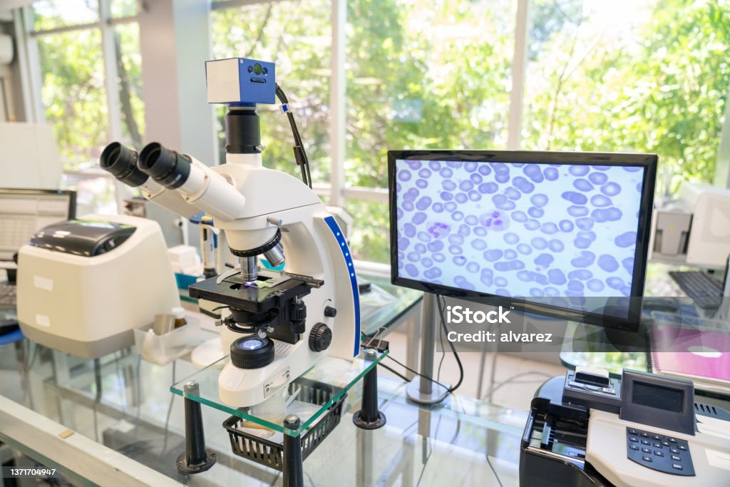 Microscope